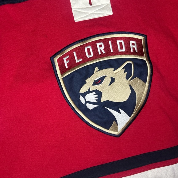 Florida Panthers Embroidered Logo Red Hockey Jersey Hoodie XL Rare - Picture 3 of 5
